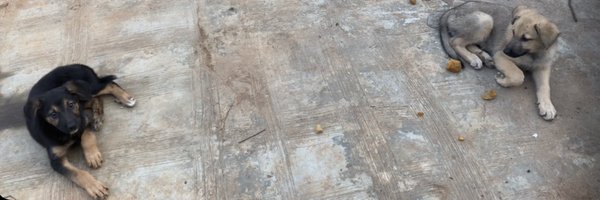 _jayzagod Profile Banner