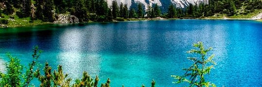 priveros🌻🌻👮‍♂️💚👮💚💚 banner