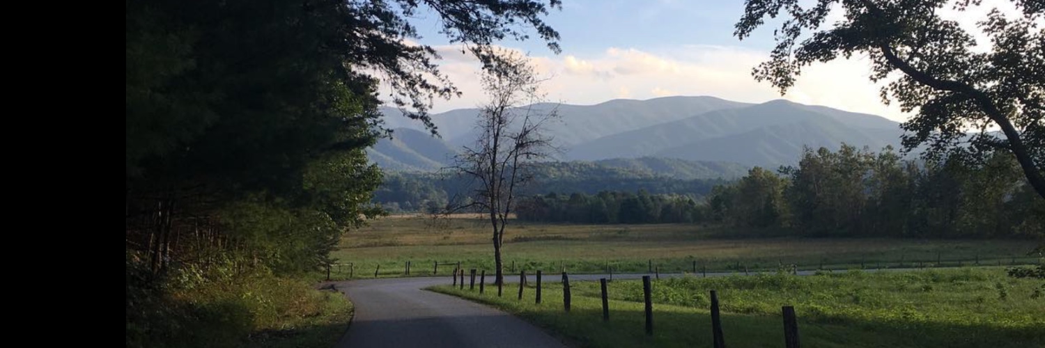 Mountain Housewife🏠's banner