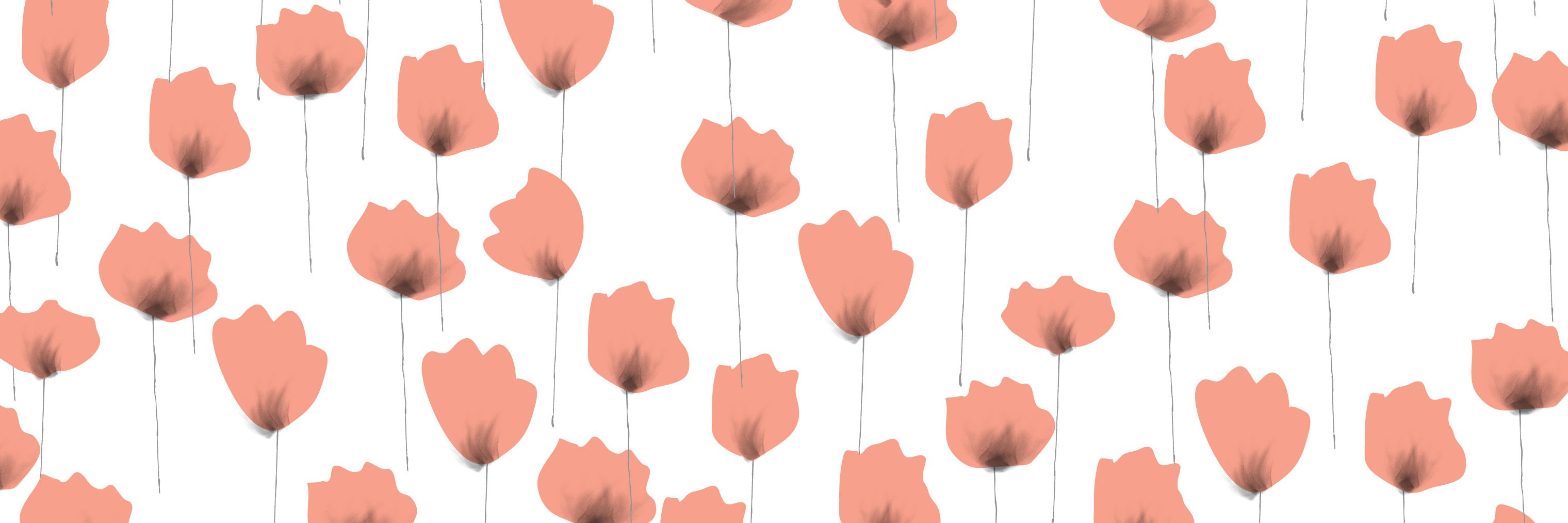 Aurorita banner