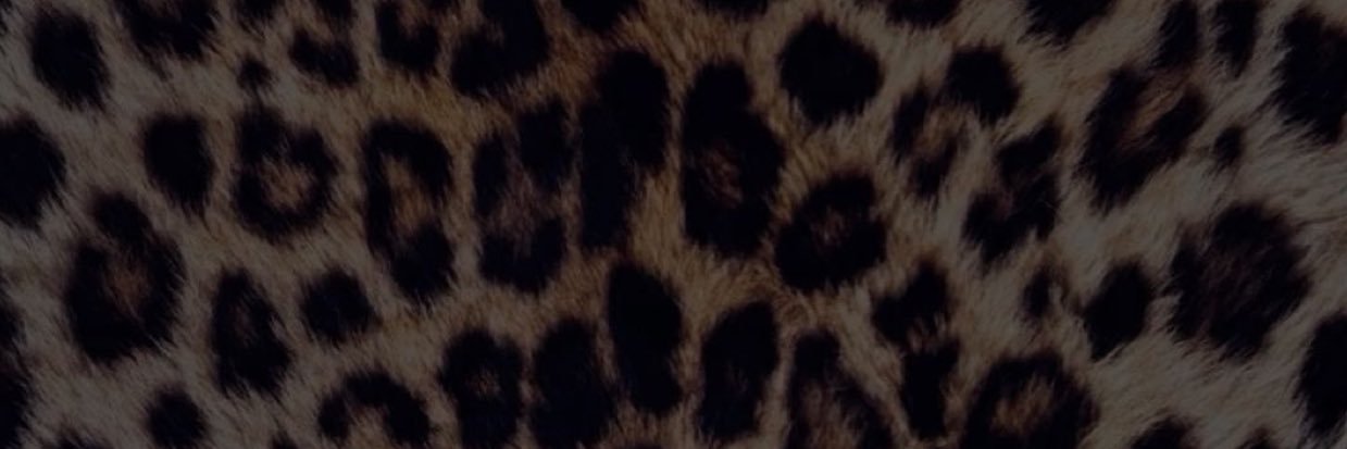 celesterrenee's profile banner image