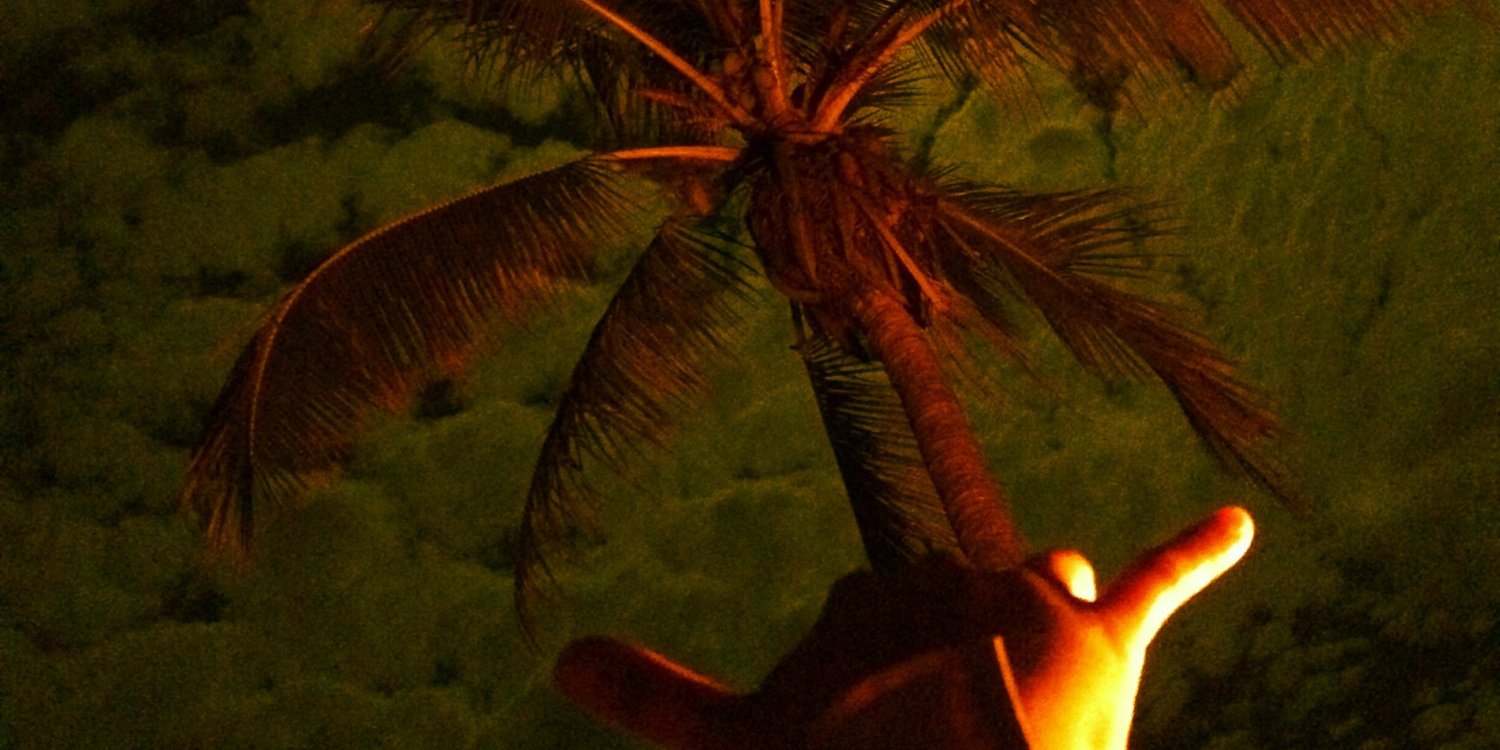frickentweeta's profile banner image
