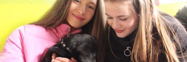 abbiegmonaghan's profile banner image