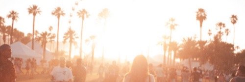 MLErogers's profile banner image