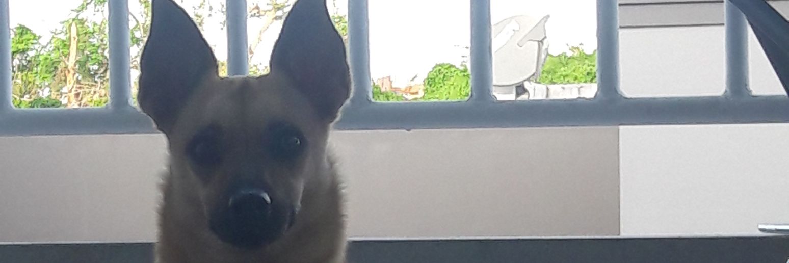 Vititoo19's profile banner image