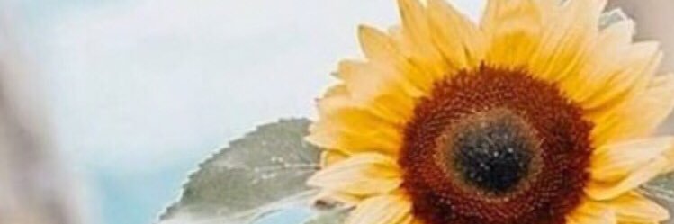 Deninha ♥️🌻's banner