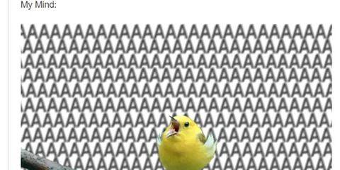 Foxeybliss's profile banner image