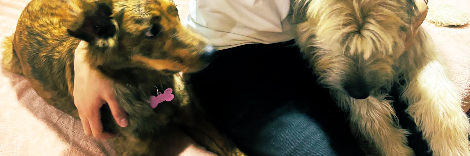 VeronicaACT's profile banner image