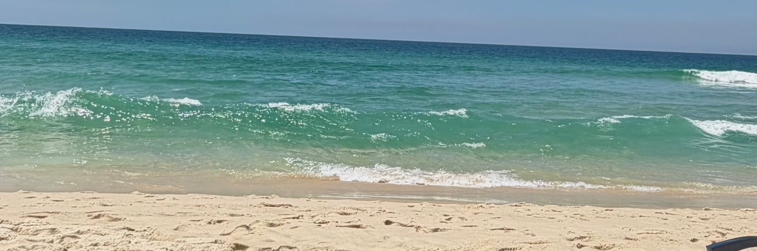 .✦ ݁˖ ✰ banner