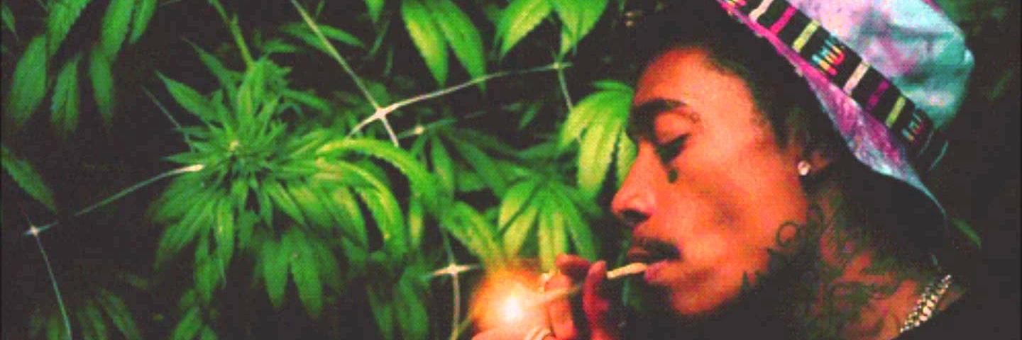 ⚡↓ OG⚡☄↓ banner
