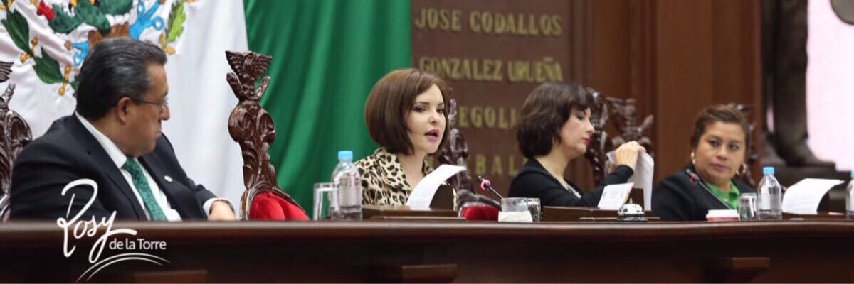 rosdelatorre's profile banner image