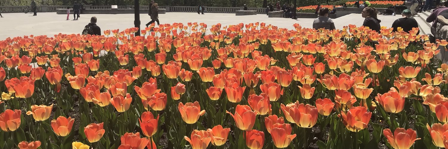 candes84's profile banner image