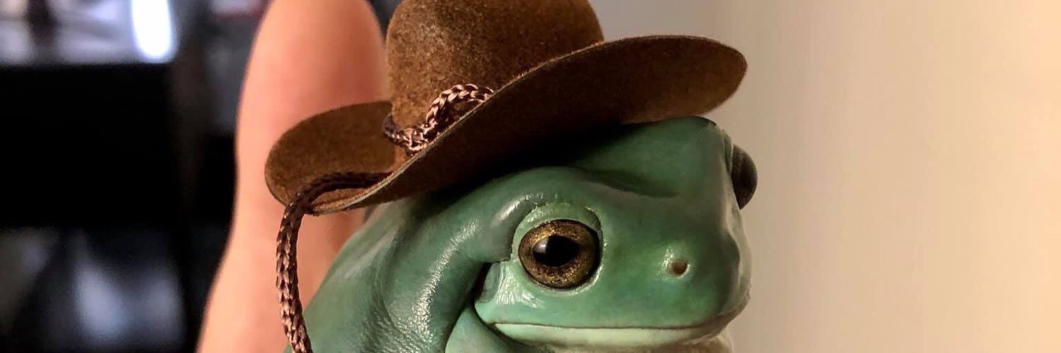 maybe: Kelly definitely: Frog's banner