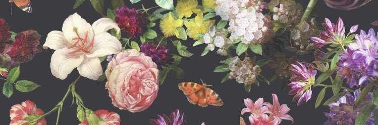 Piersonnn's profile banner image