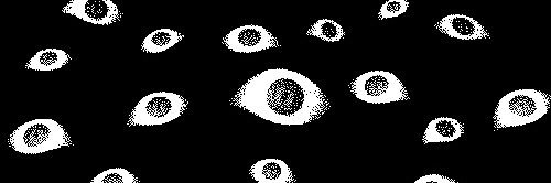 rugerinh0's profile banner image