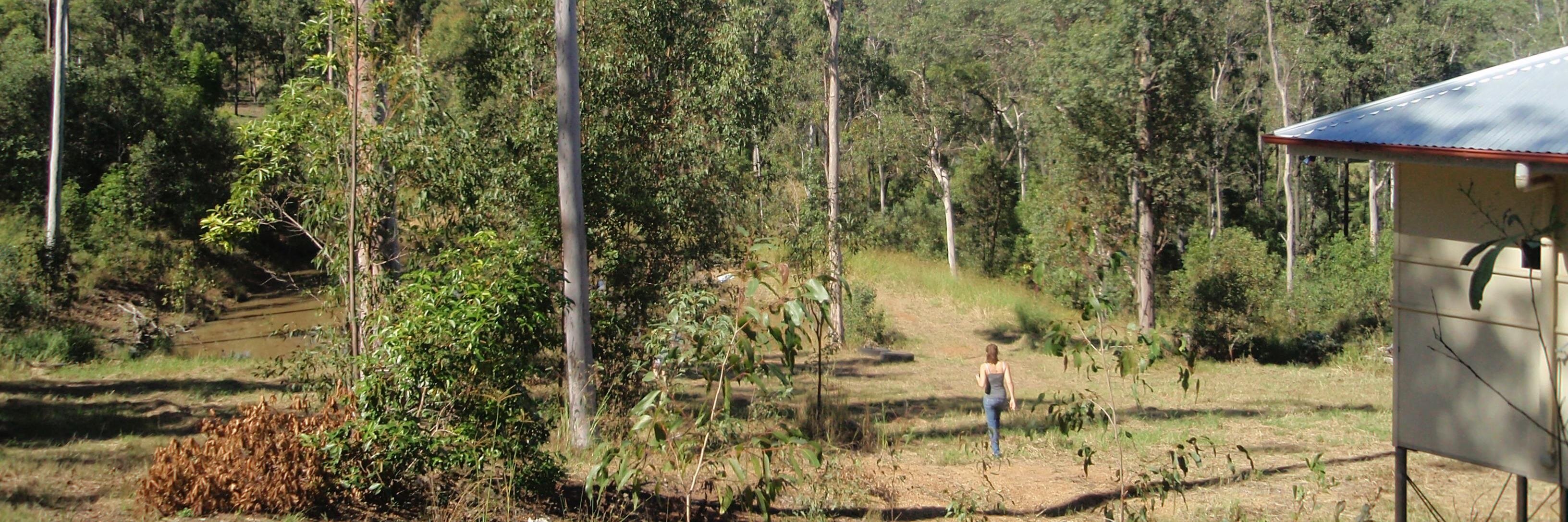 Total Real Estate banner