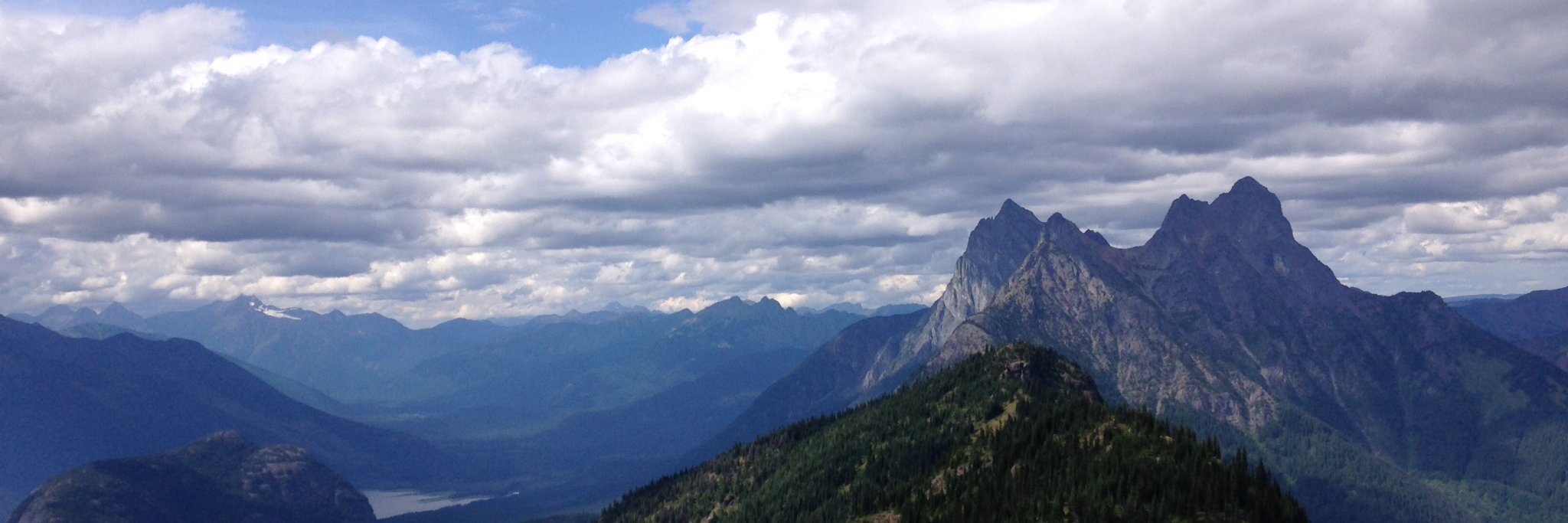 Carl Preiksaitis banner