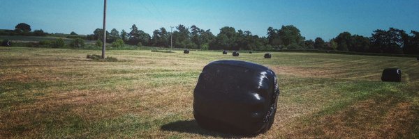 joe10_t Profile Banner