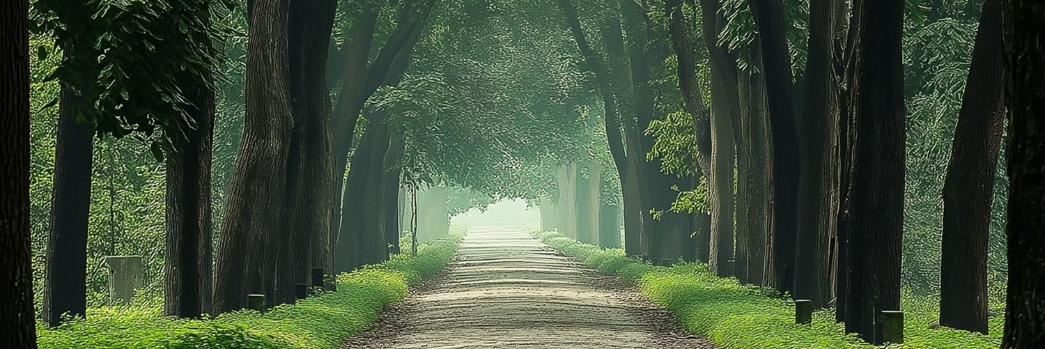 FIK ©⁦⁦ 🇸🇦⁩ banner