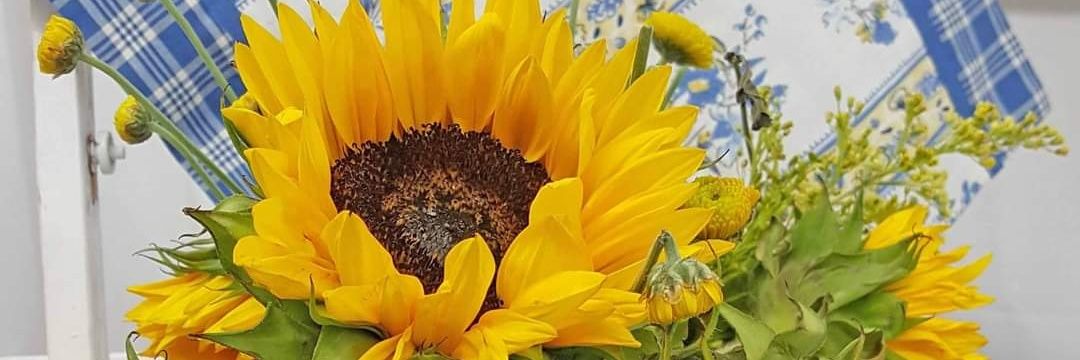 Lisa H. #ProEU #thankagp 💙💙💙 #GTTO banner