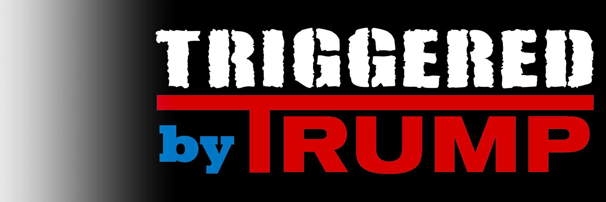 Triggered By Trump 🇺🇸💙🤍❤️🇺🇦 banner