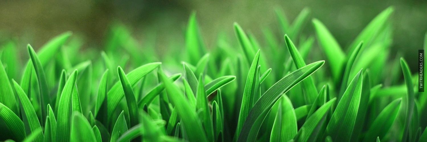 Rottentouch's profile banner image