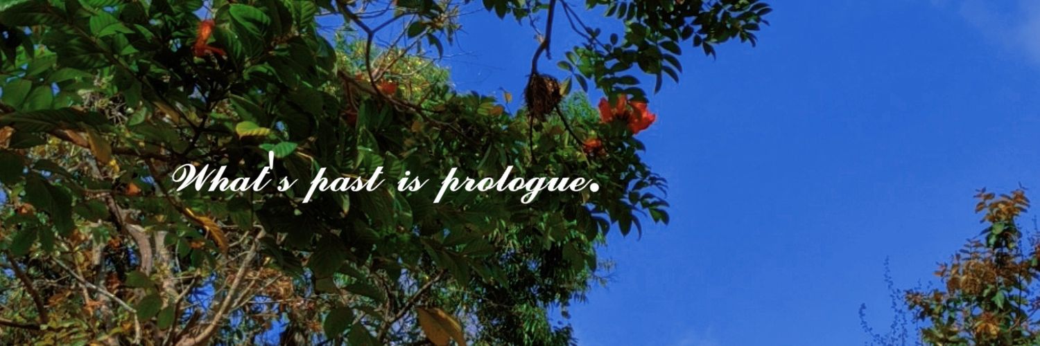 Nadiyaaa_SF's profile banner image