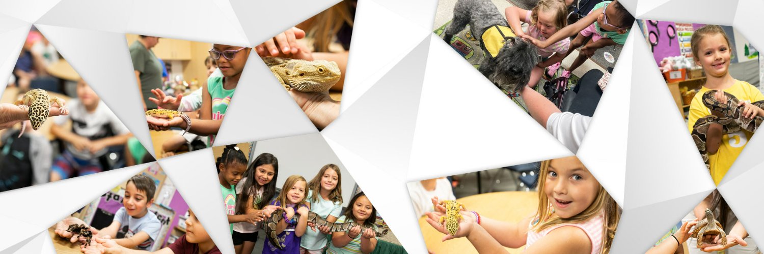 PetsinClassroom's profile banner image