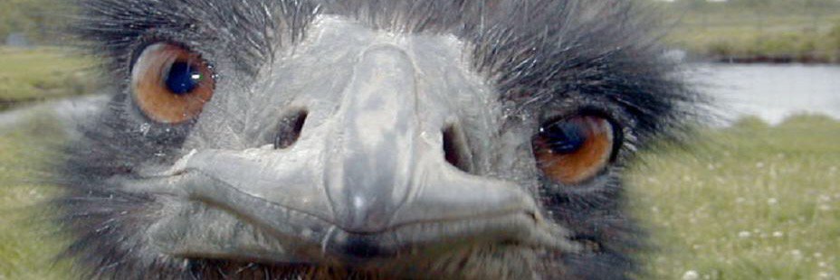 littlejohn_k's profile banner image