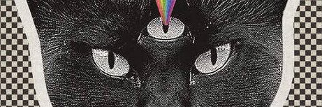 alfitotreviblu's profile banner image