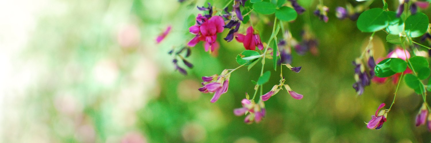 あーたん banner