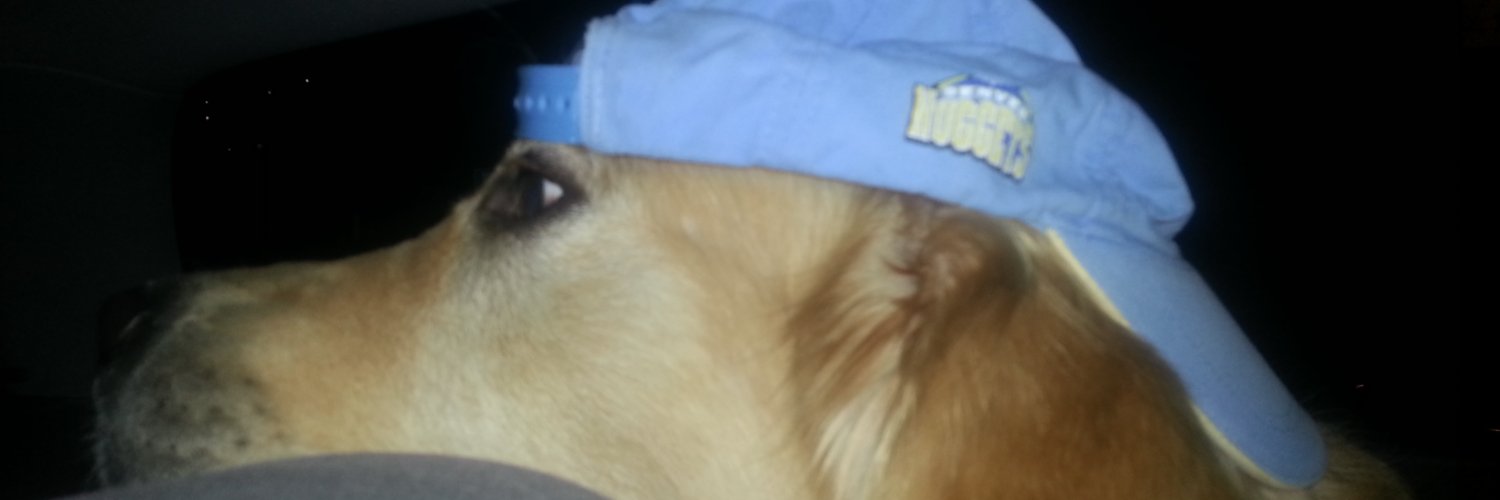 Dimitrije Djordjevic banner