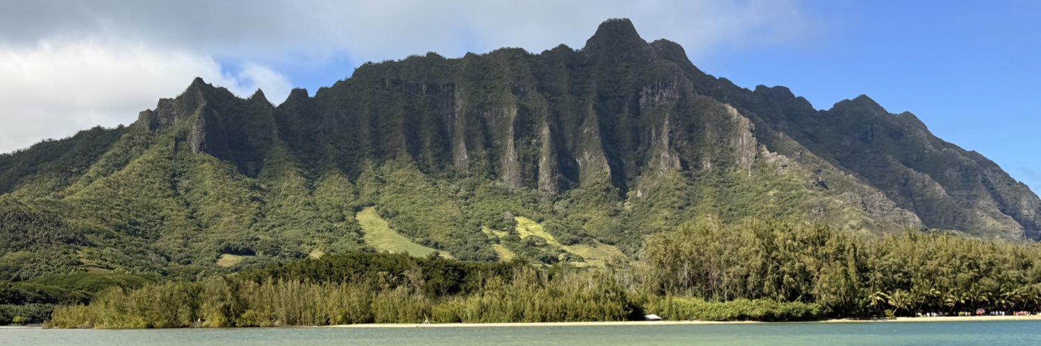 Brad Dangerfield banner