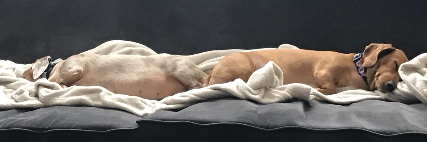 BBRex's profile banner image