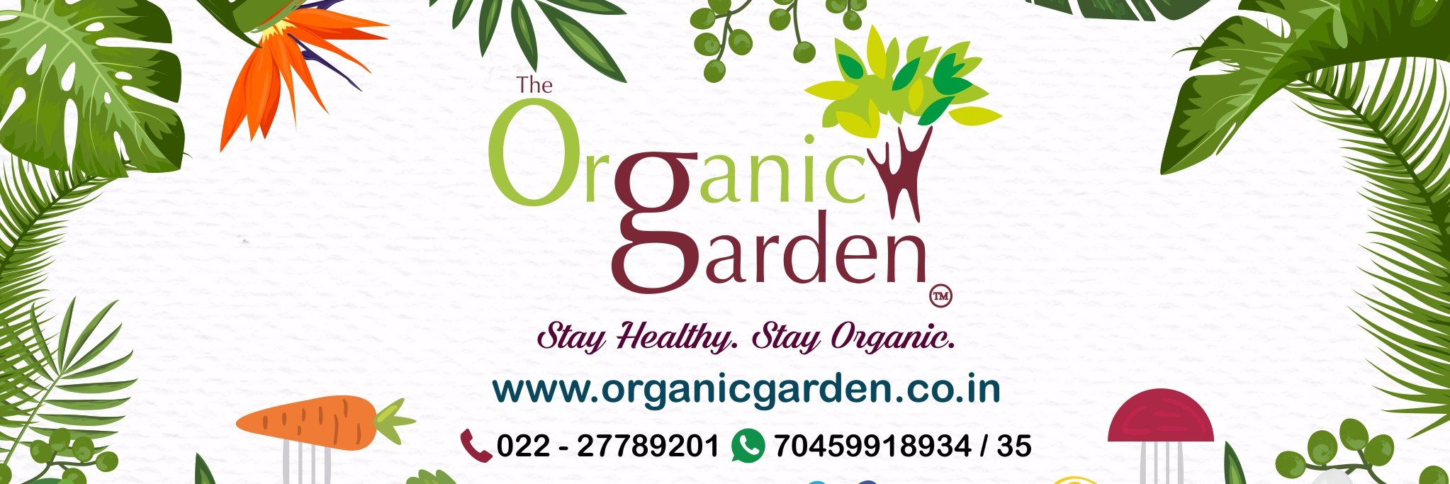 StayOrganic's profile banner image