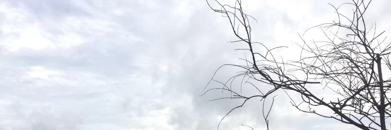 michelljesslynf's profile banner image