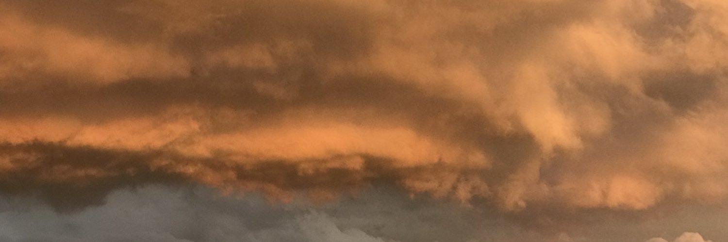 nvitt_'s profile banner image