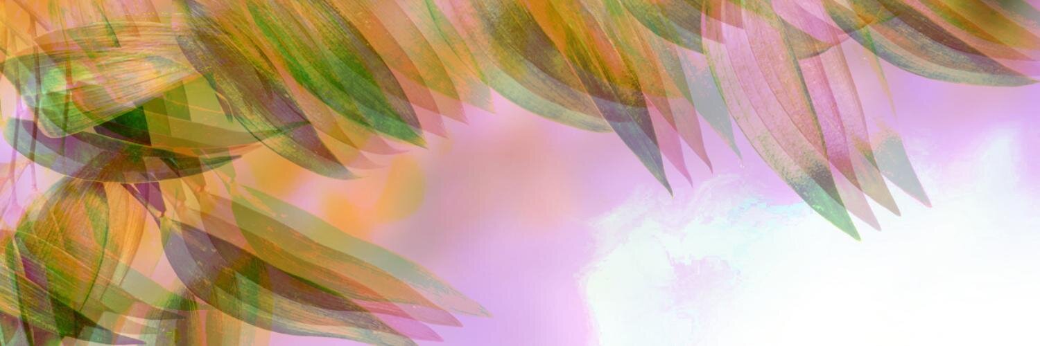 yesthetippa's profile banner image