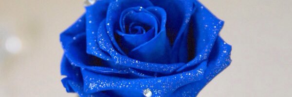 rr❤︎取引垢 banner