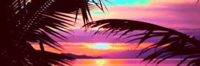 annie_quinio's profile banner image