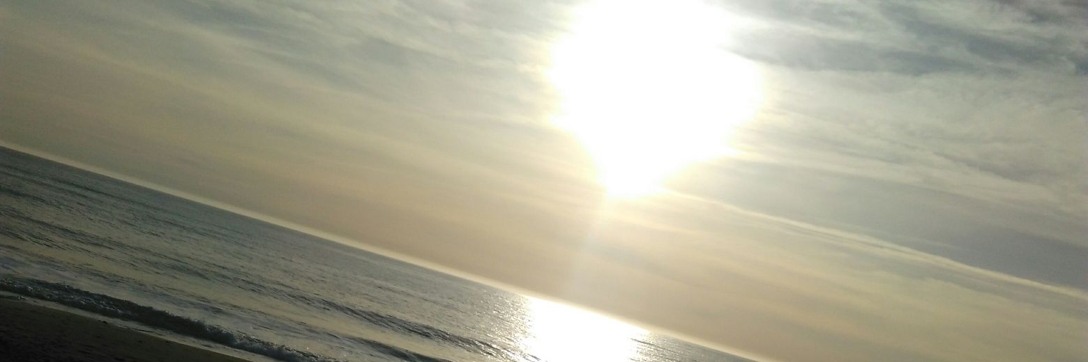 SOpalbell's profile banner image