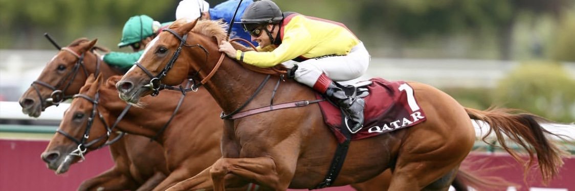 René Piechulek banner