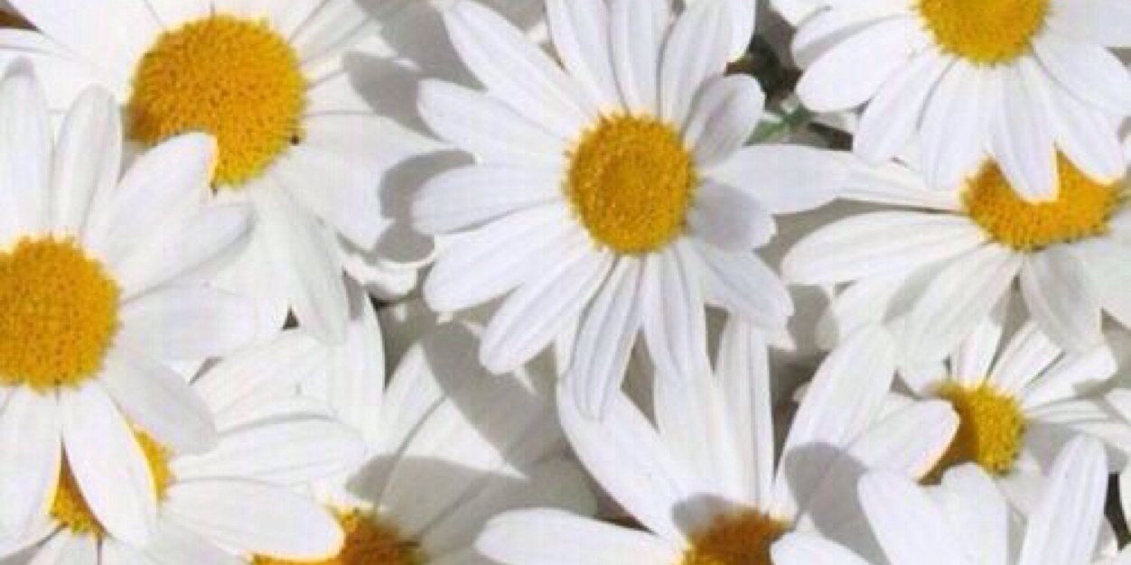 Angganararas21's profile banner image