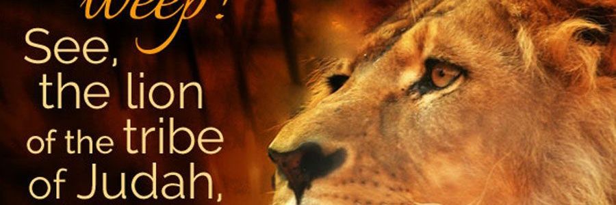 PhilPayne777's profile banner image