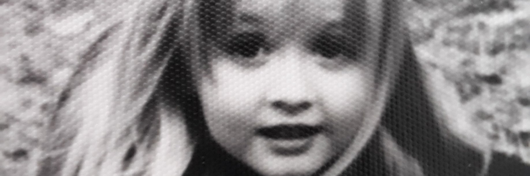 Opus 🐝 🍀 banner