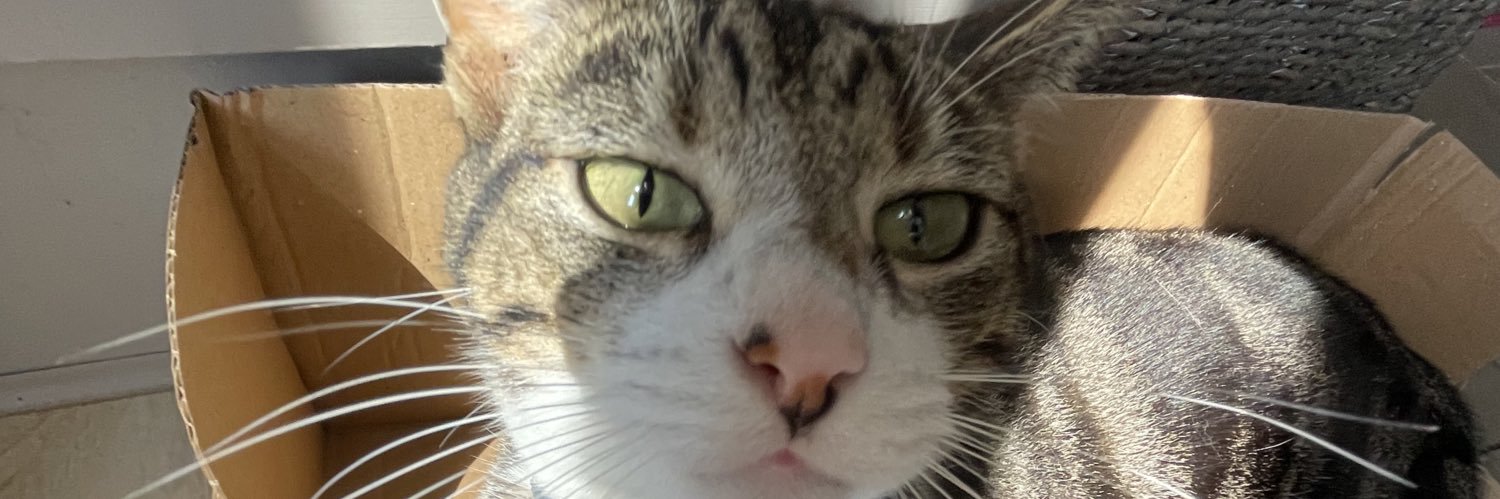 Garance2104's profile banner image