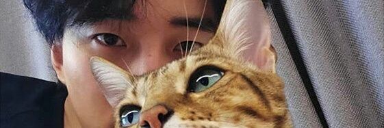 carfreeday_'s profile banner image