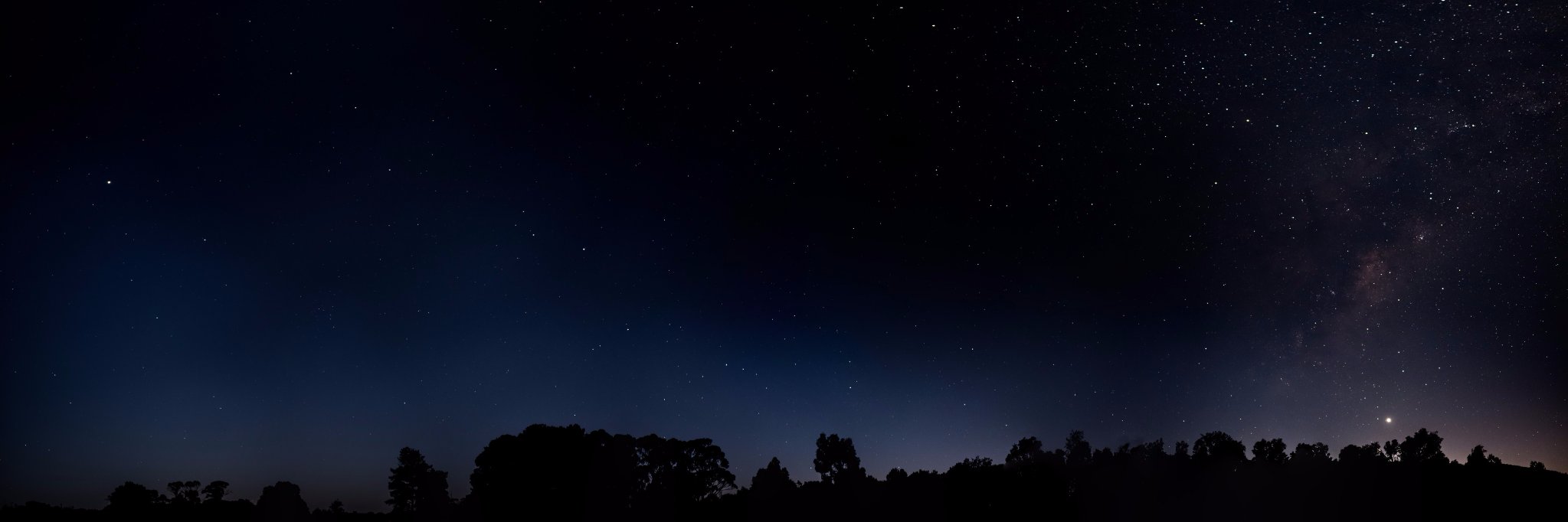 Dr Andreas Moll banner