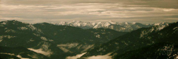 SouthForkBaking Profile Banner