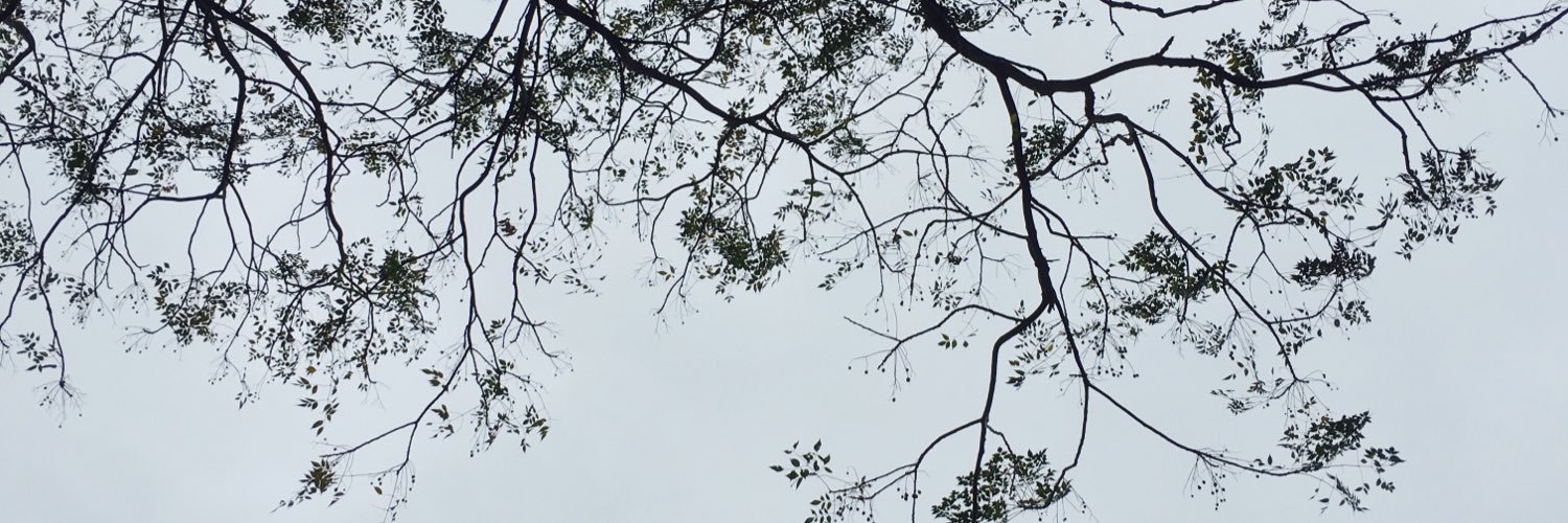 Jasmine Christine Diep banner